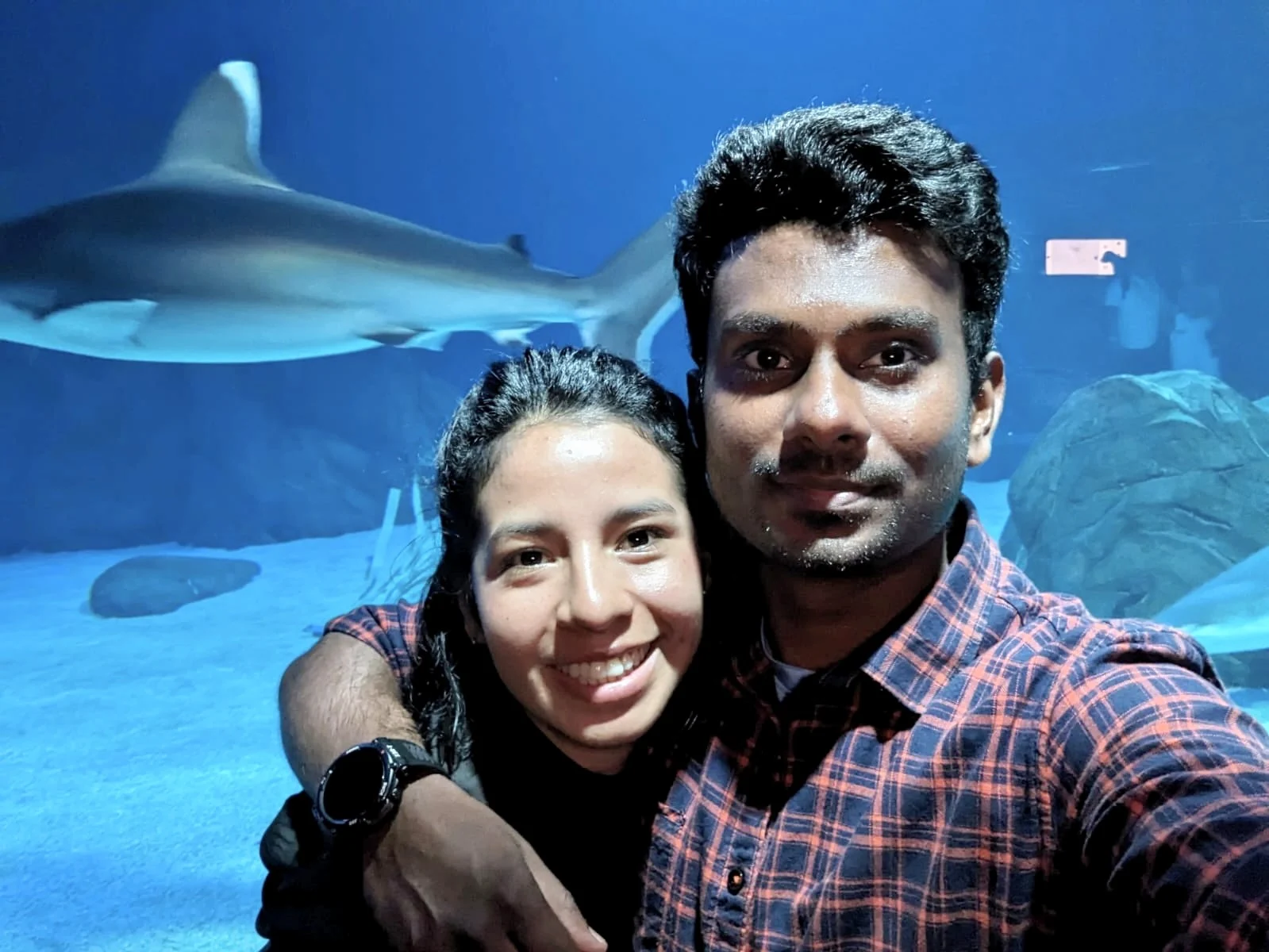 Shark encounter
